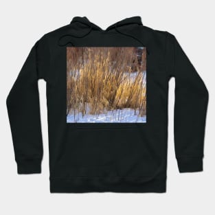 High grass illustration. Hoodie